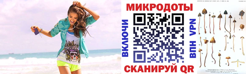 Галлюциногенные грибы Cubensis Людиново