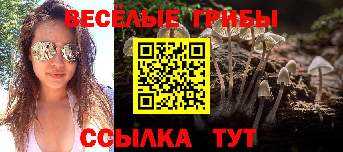 Псилоцибиновые грибы Magic Shrooms Людиново